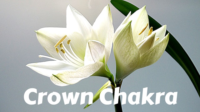 Crown Chakra | Sahasrara