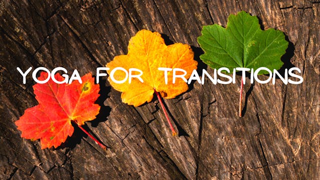 Yoga for Transition (9 class pack)