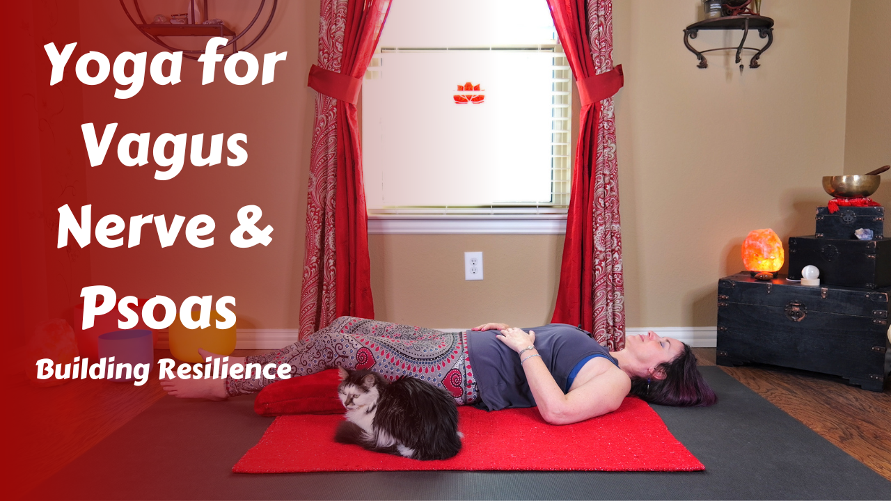 Vagus Nerve & Psoas Yoga | Toning, Strengthening, & Releasing