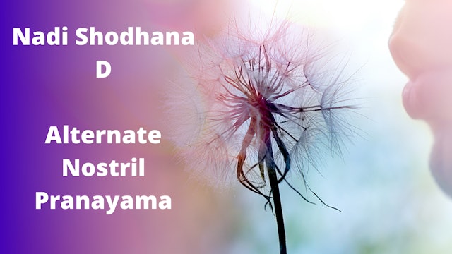 Nadi Shodhana D | Alternate Nostril Breathing | Intermediate