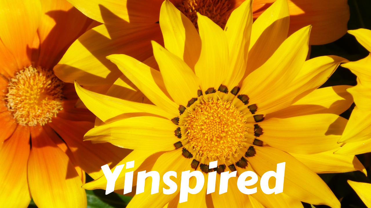 Yinspired Yoga - Yin Inspired Yoga Fusion