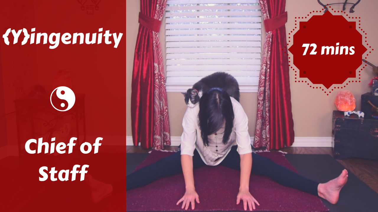 {Y}ingenuity | Chief of Staff | Liver Meridian