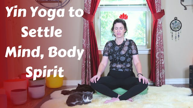 Yin Yoga to Support Mind Body & Spirit