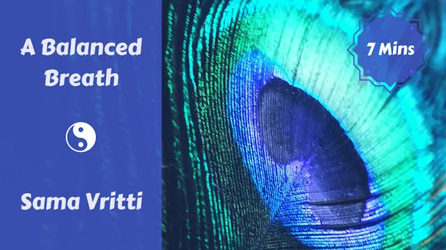 Sama Vritti Breath | A Balanced Breath