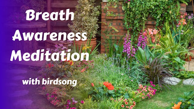 Breath Awareness Meditation (with bir...