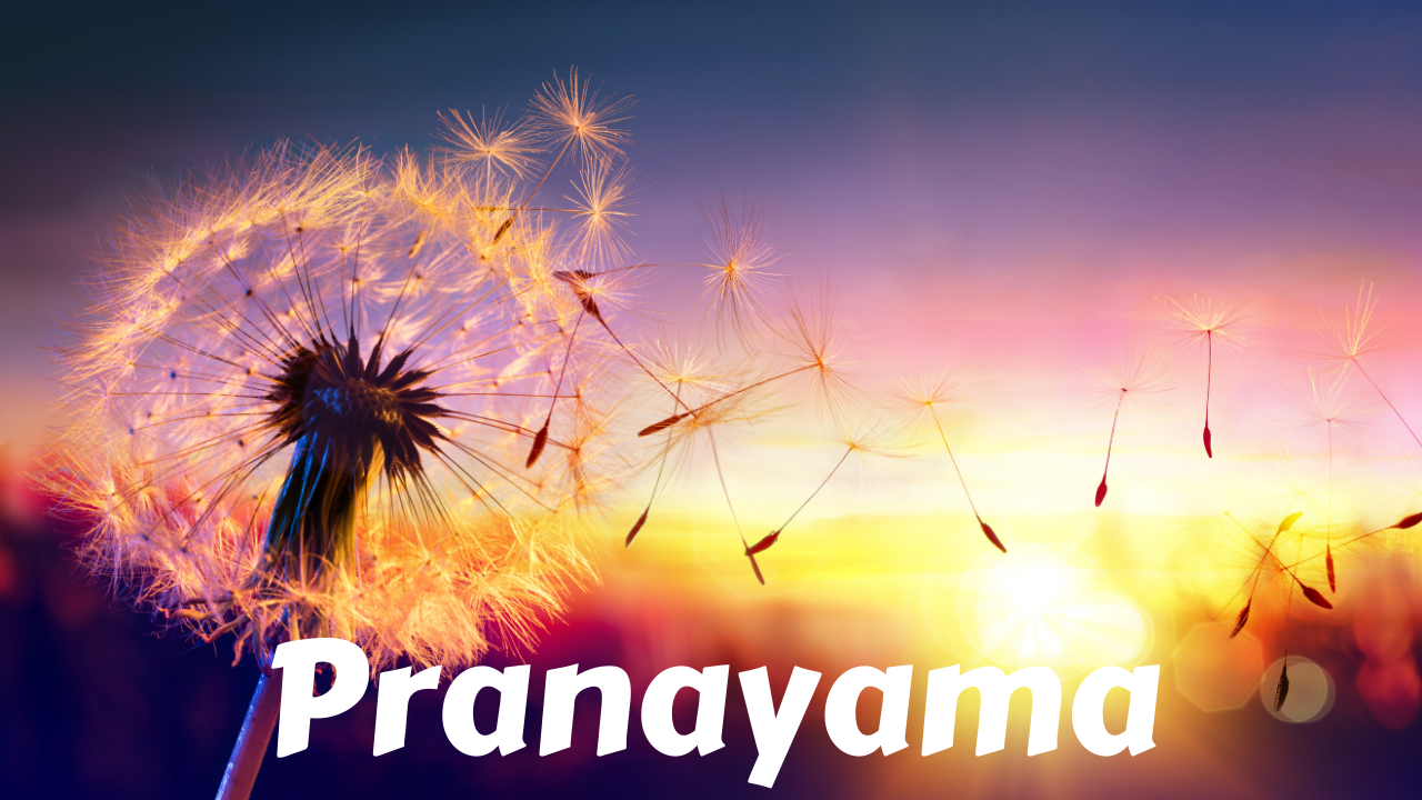 Pranayama | Working with the Breath