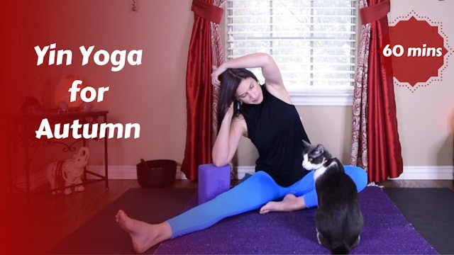 Yin Yoga for Autumn | Transition