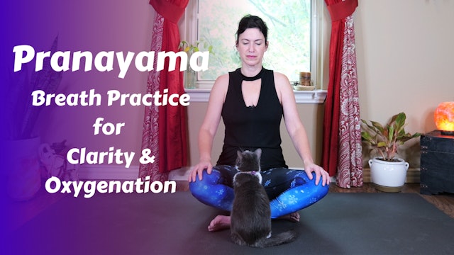 Pranayama Circle Breath for Clarity & Oxygenation | Long COVID Energy Balance