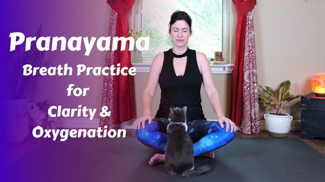 Pranayama Circle Breath for Clarity &...