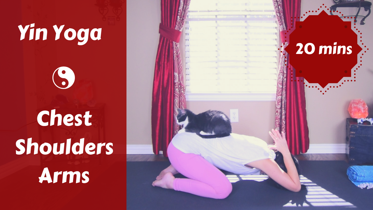 Yin Yoga Chest & Shoulder Day | Upper Body Stretch