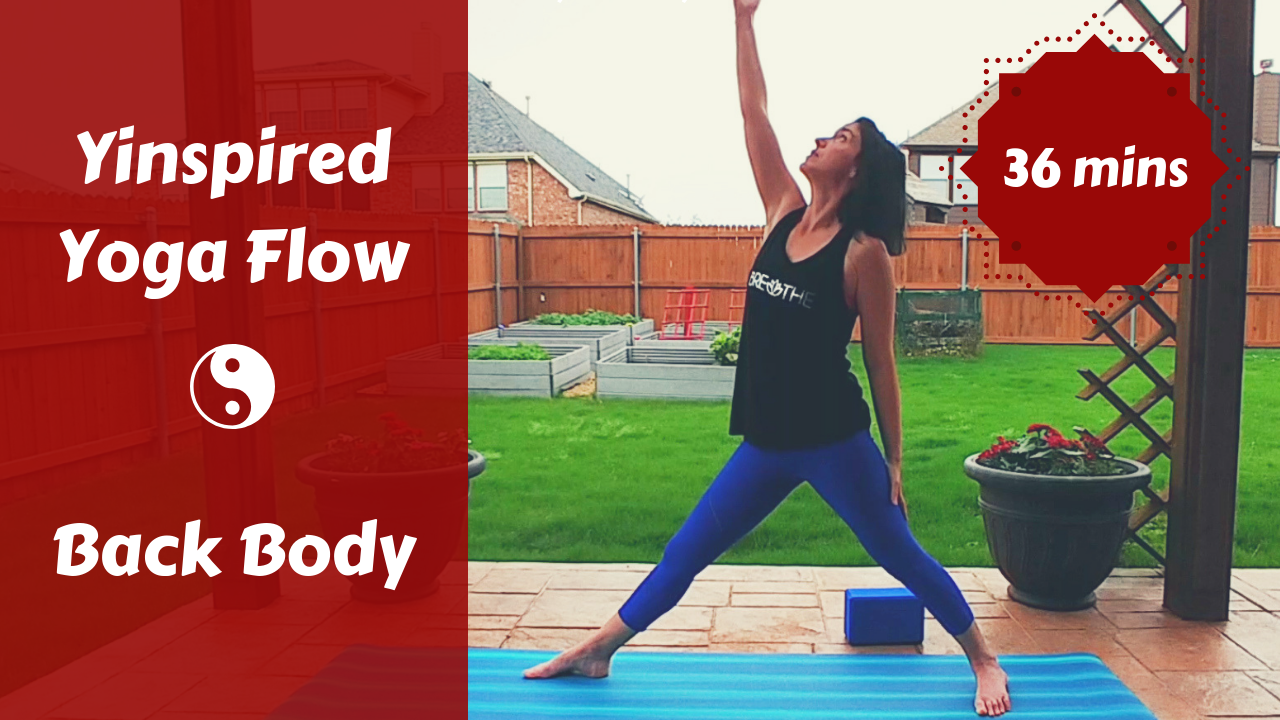 Yinspired Yoga for the Back Body | Yin Yoga Fusion