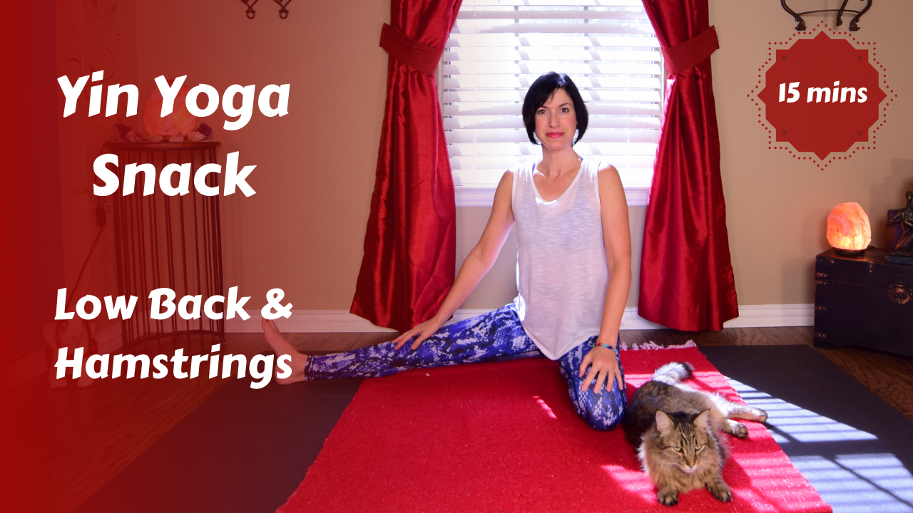 Yin Yoga Snack for Lower Back & Hamstrings
