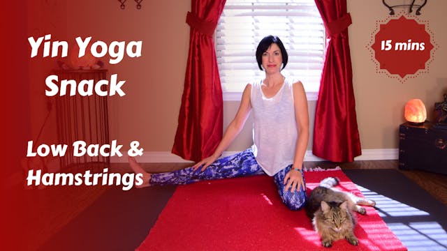 Yin Yoga Snack for Lower Back & Hamst...