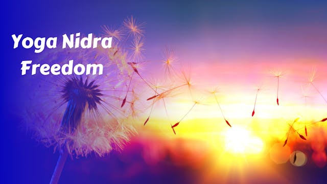 Yoga Nidra Freedom