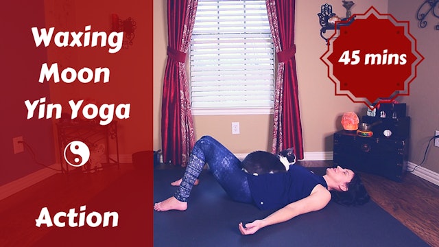 Waxing Moon Yin Yoga | Action & Expression