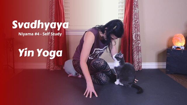 {Y}integration Yin Yoga | Svadhyaya | Self-Study