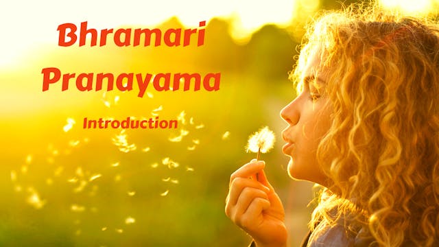 Bhramari (Humming Bee Breath) Introduction