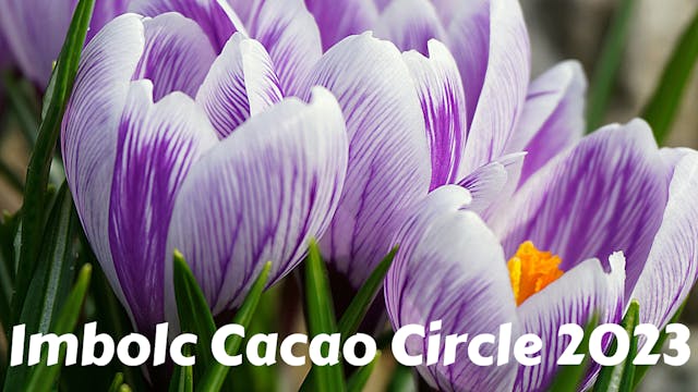 Imbolc Cacao Circle 2023