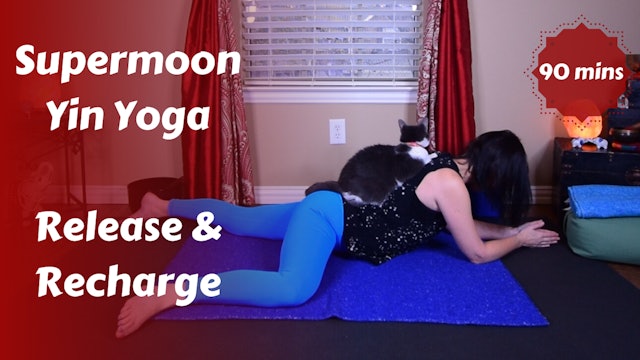 Super Moon Yin Yoga | Release & Recharge