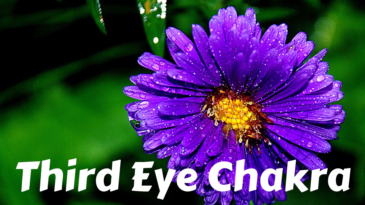 Third Eye Chakra | Ajna