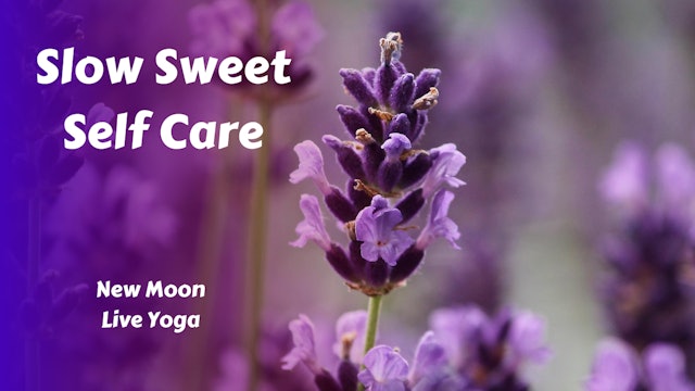 New Moon Live Yoga | Slow Sweet Self Care