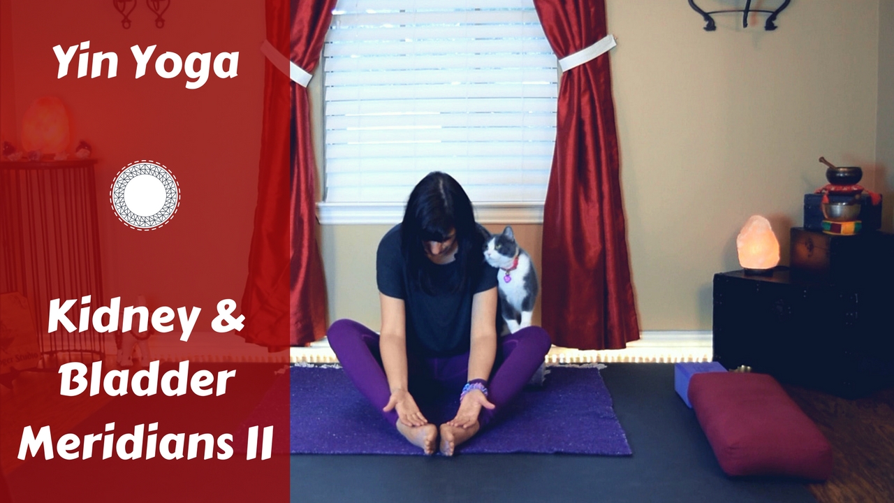 Yin Yoga for Kidney/Bladder Meridians