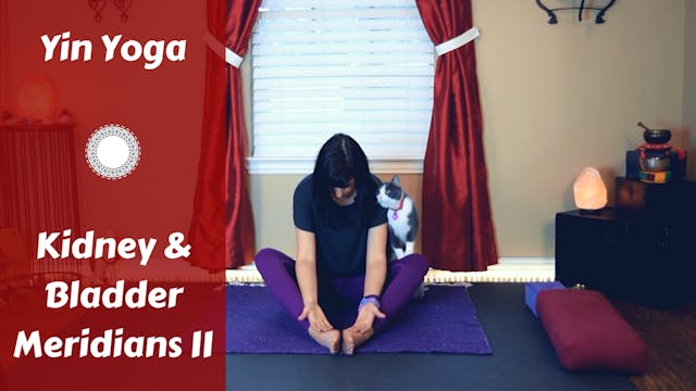 Yin Yoga for Kidney/Bladder Meridians