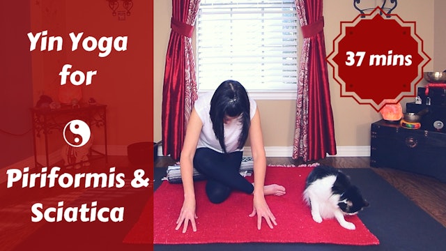 Yin Yoga for Piriformis & Sciatica Pain | Yin for Glutes