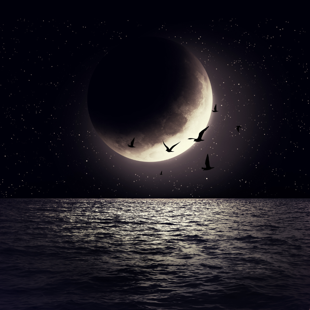 Waxing Moon Journal Prompts.png