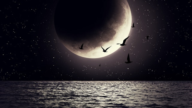 Waxing Moon Journal Prompts.png