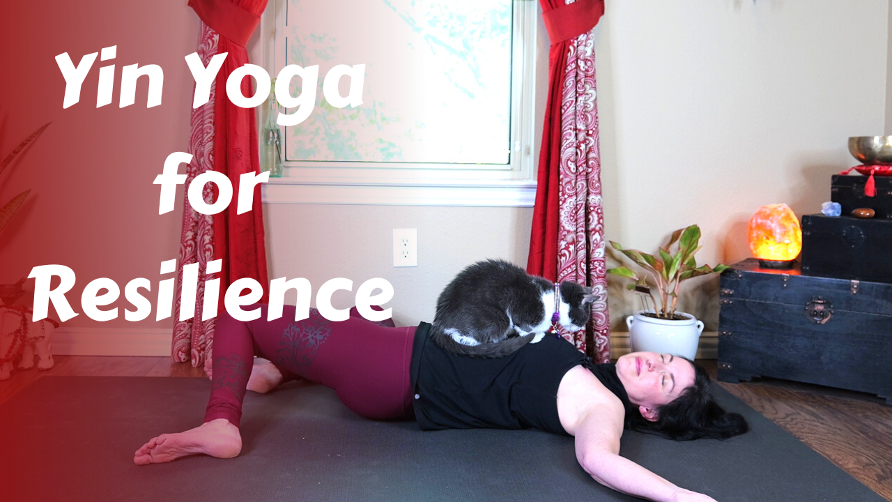 Yin Yoga for Resilience