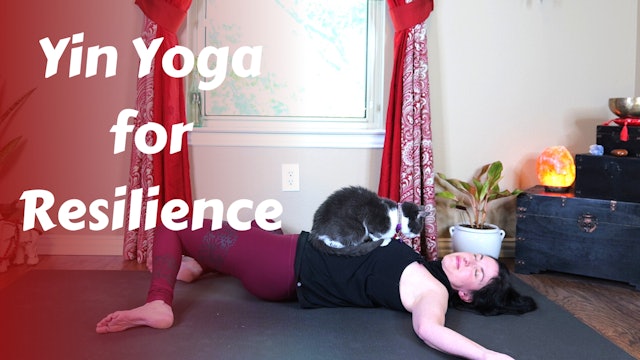 Yin Yoga for Resilience