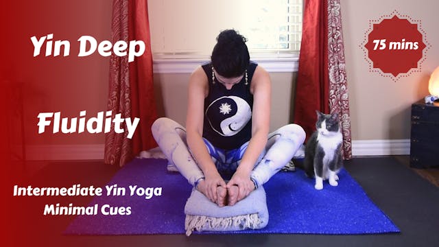 Yin Deep | Intermediate Minimal Cues Yin Yoga | FLUIDITY