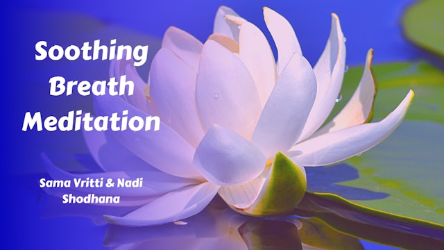 Soothing Breath Meditation | Sama Vritti & Nadi Shodhana