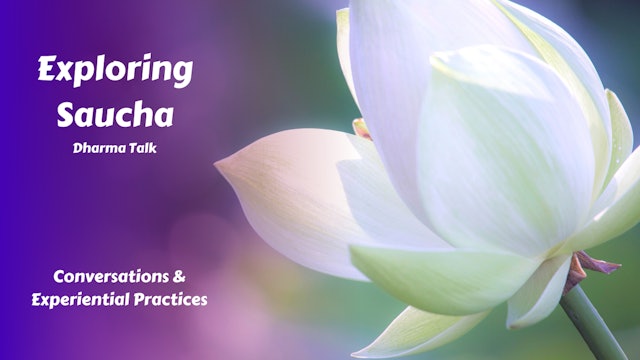 Exploring Saucha | Dharma Talk
