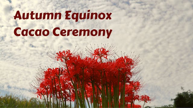 Mabon/Autumn Equinox Cacao Ceremony