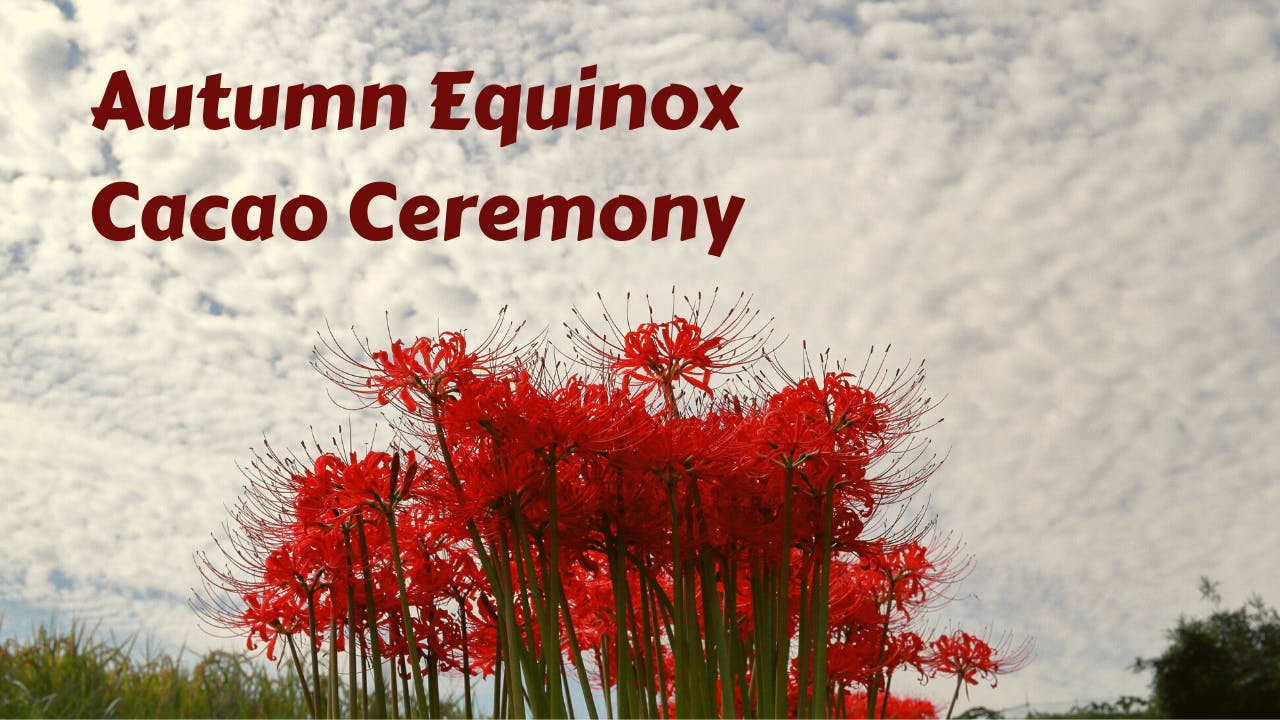 Mabon/Autumn Equinox Cacao Ceremony