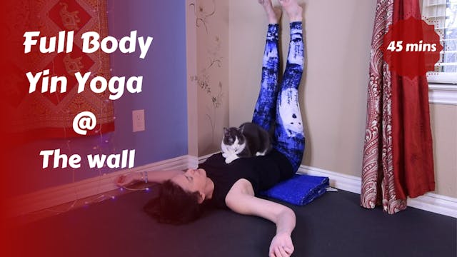Full Body Yin Yoga @ the Wall