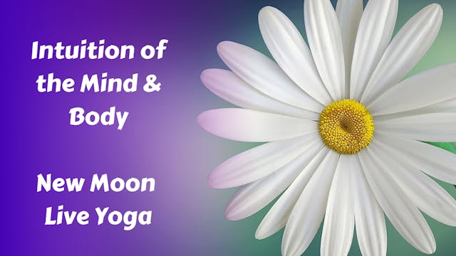 Intuition of the Mind & Body | New M...