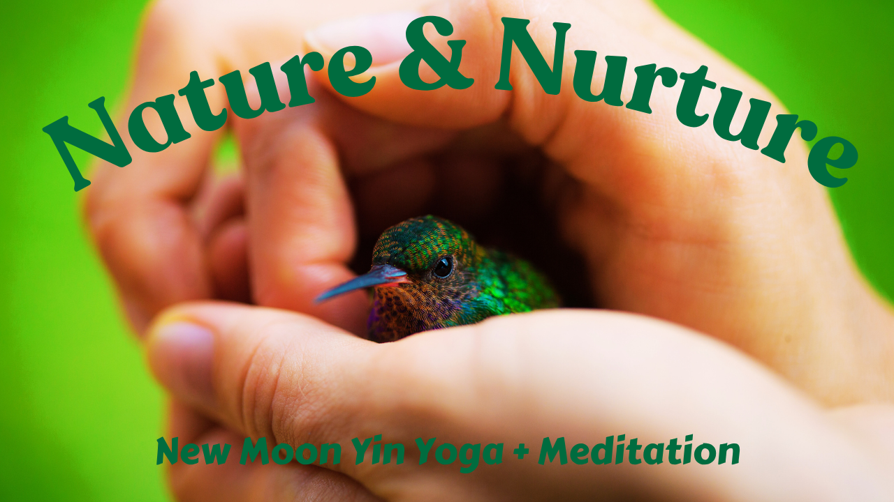 Nature and Nurture New Moon Yin Yoga