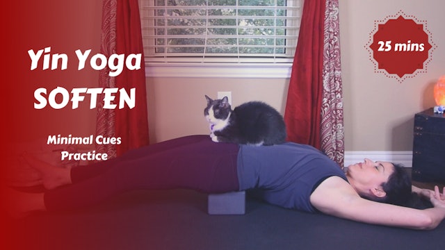 Yin Yoga Minimal Cues | Soften 