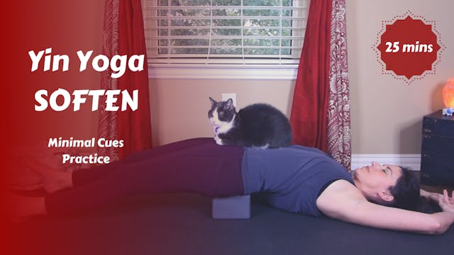 Yin Yoga Minimal Cues | SOFTEN