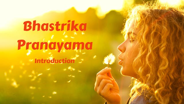 Bhastrika (Bellows Breath) Pranayama Introduction