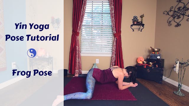 Frog Pose Tutorial | Modifications, P...