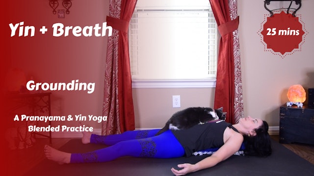 Yin + Breath | Grounding
