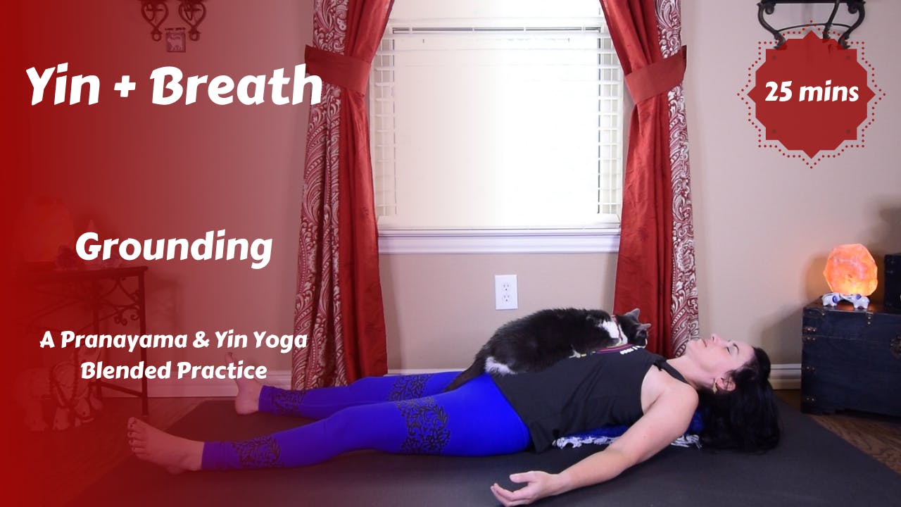 Yin + Breath | Grounding - Yin Yoga - YR Self Care Studio