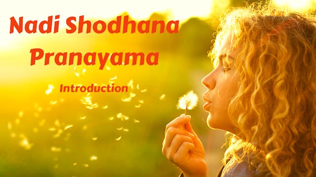 Nadi Shodhana (Alternate Nostril) Introduction