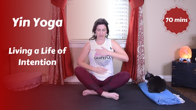 Yin Yoga | Living a Life of Intention