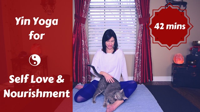 Yin Yoga for Self Love | Nourish Yourself | Earth Element