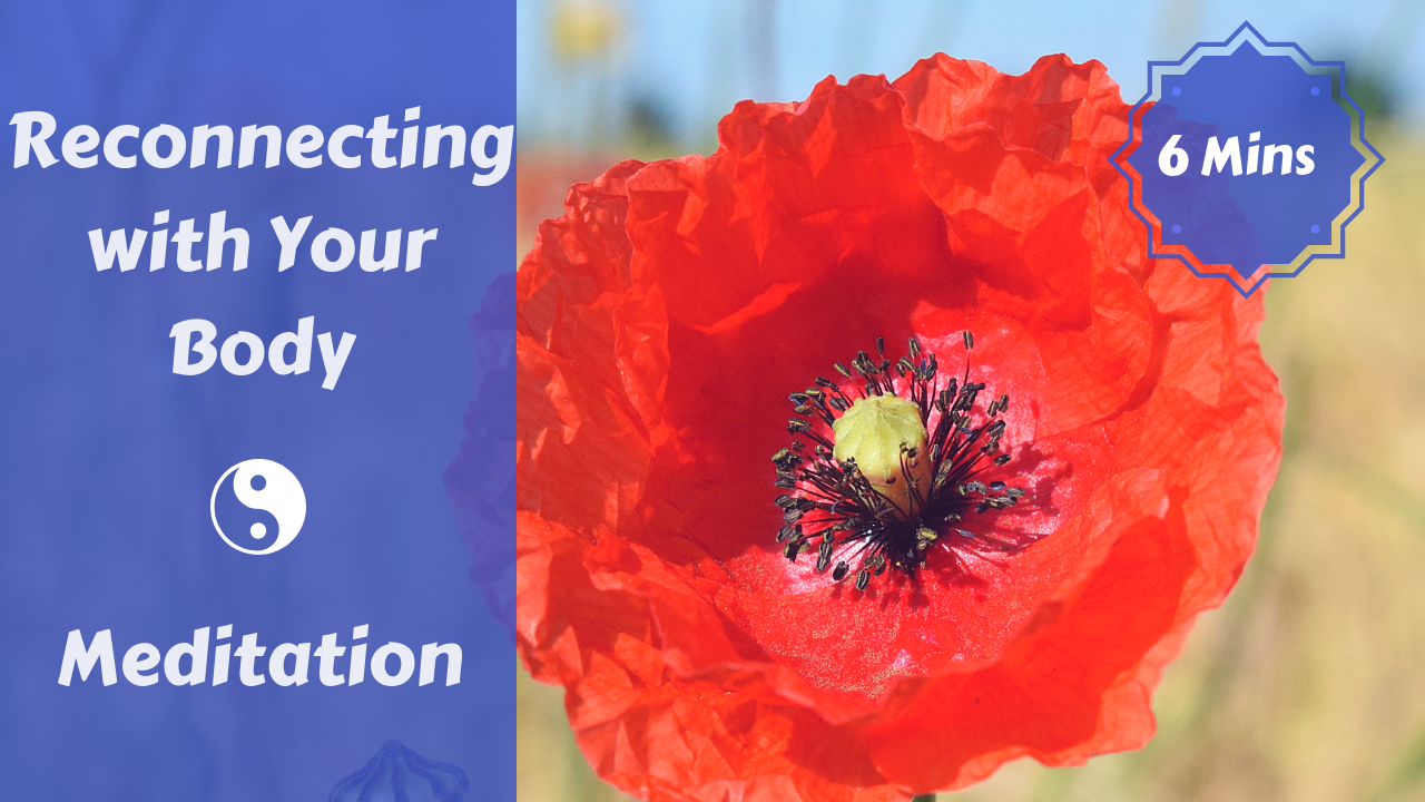 Reconnecting with Your Body Meditation